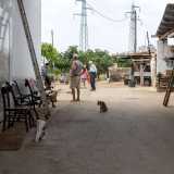 Superato infatti l�ingresso entriamo nell�aia di un�abitazione di campagna occupata da quattro uomini molto avanti con l�et� e da decine di gatti e qualche cagnolino